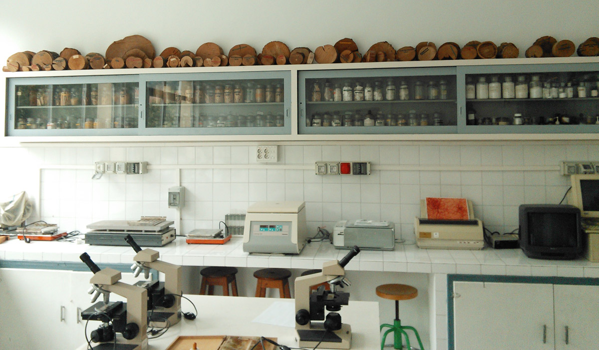 One side of the school's laboratory.